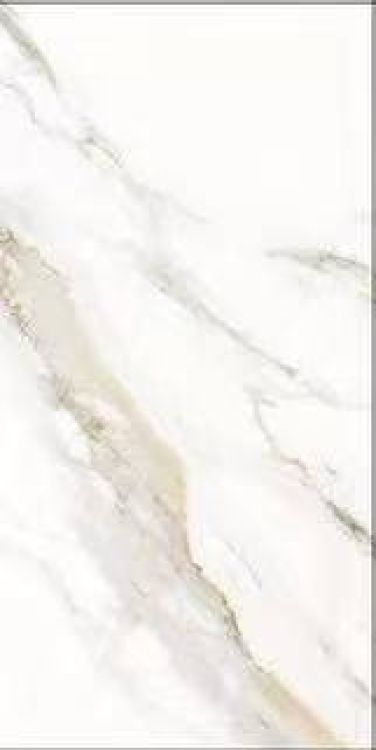 Time Lumidora Matte 12 x 24